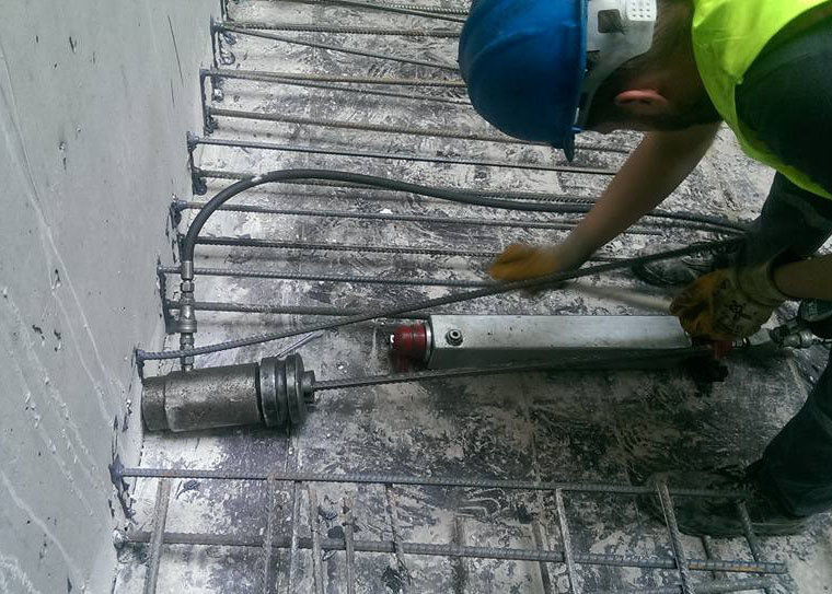 Filiz ekme Testi (Ankraj)